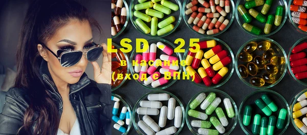PSILOCYBIN Верея